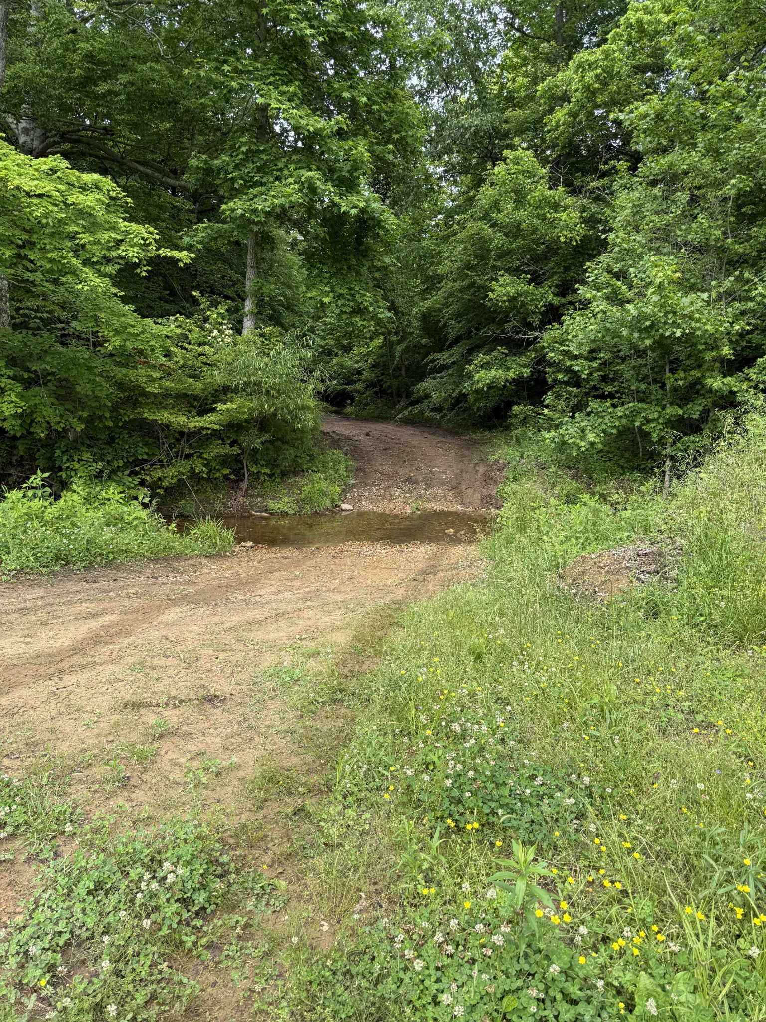 265 Lantern Ln