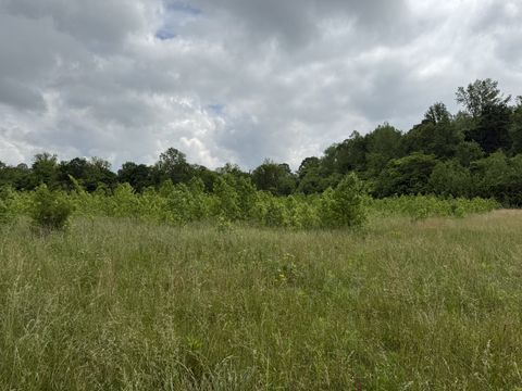 265 Lantern Ln Olivehill TN 38475