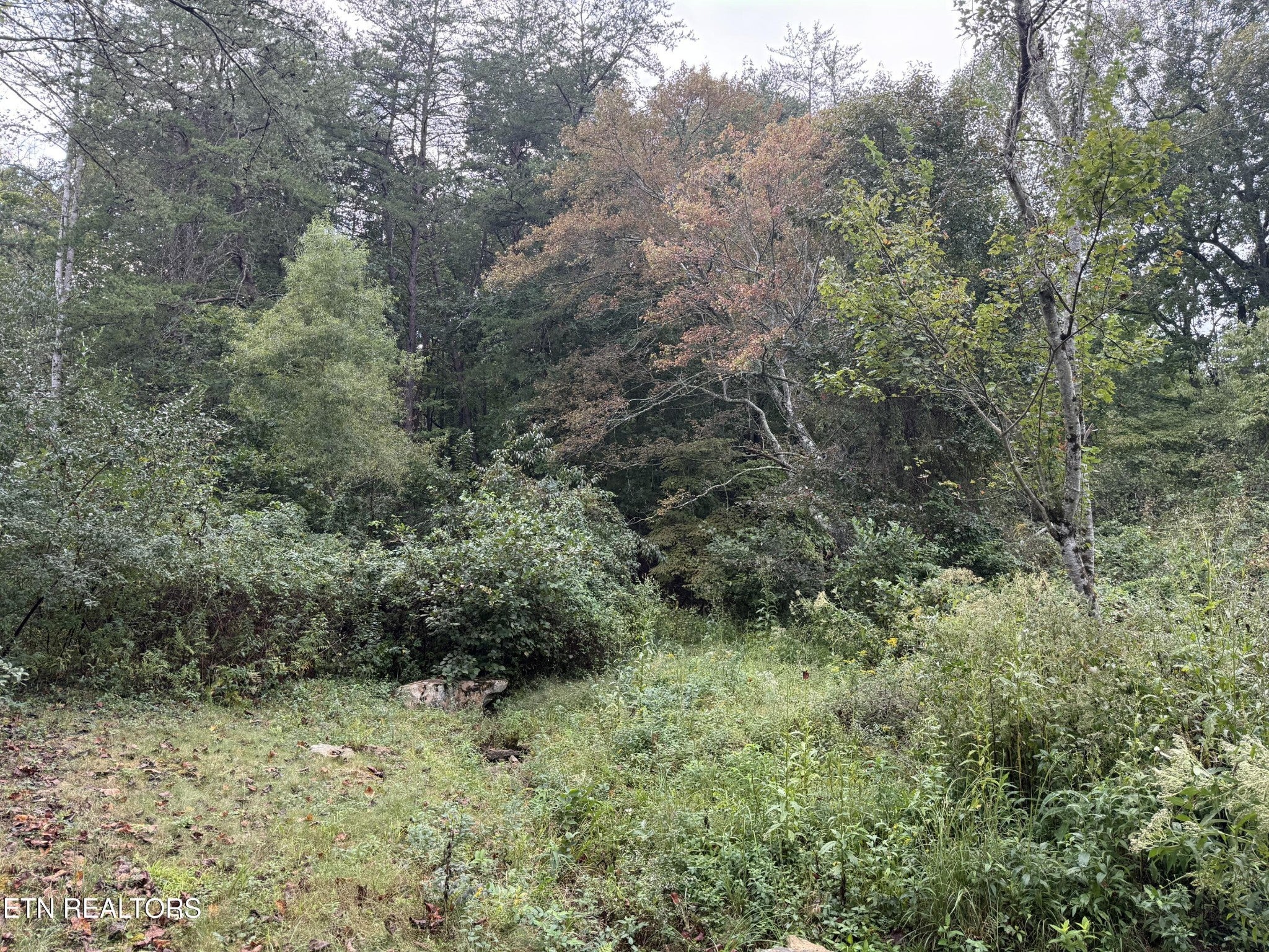 113 Hunterwood Lane