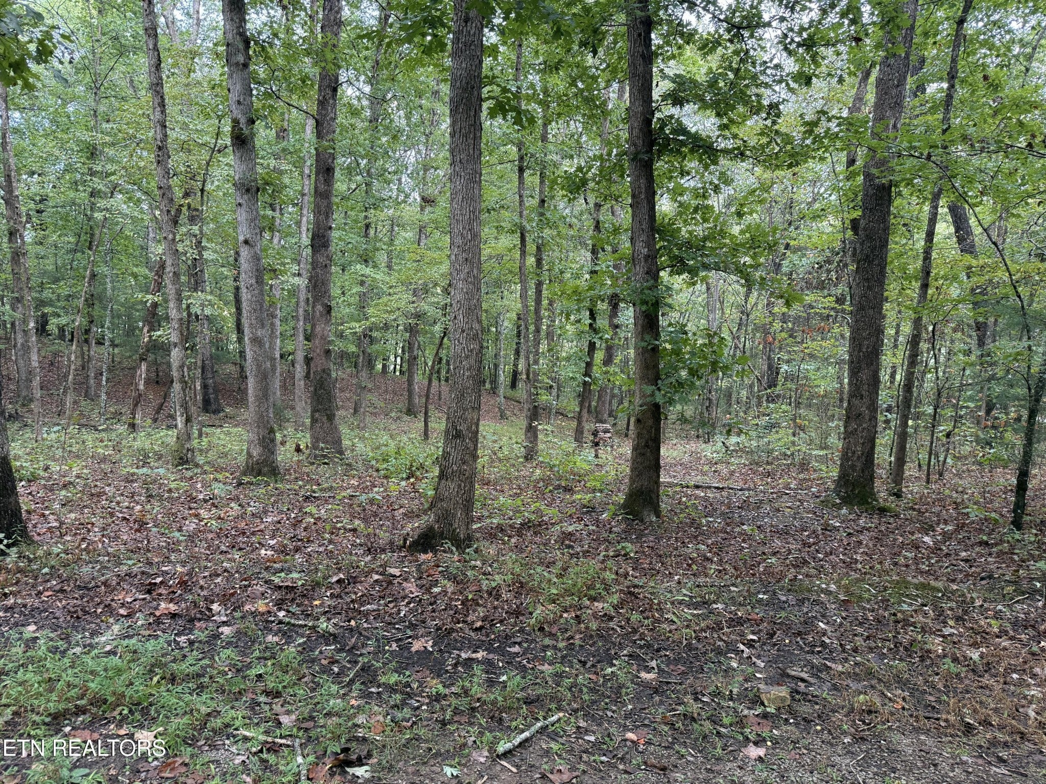 113 Hunterwood Lane