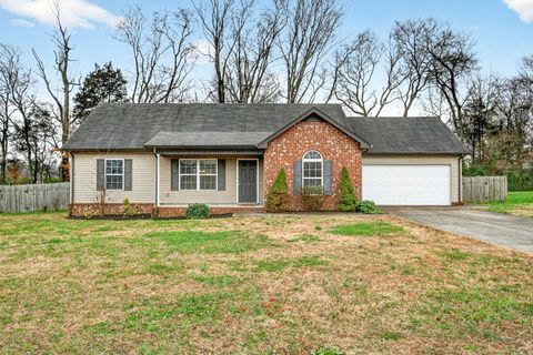 1001 Pusher Pl Rockvale TN 37153