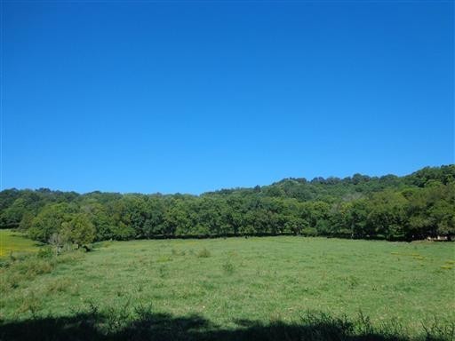 Middle Tennessee Properties 4 4500 Harpeth School Rd