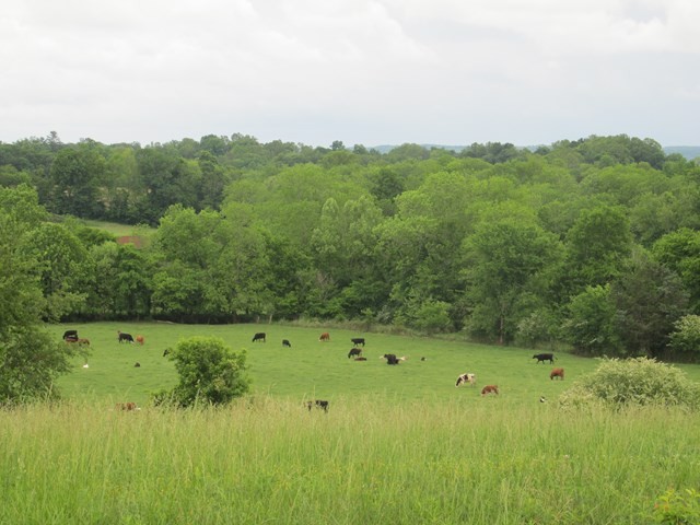 View Cookeville, TN 38506 land