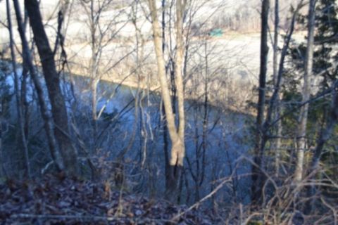 0 Cabin Hill Rd Celina TN 38551