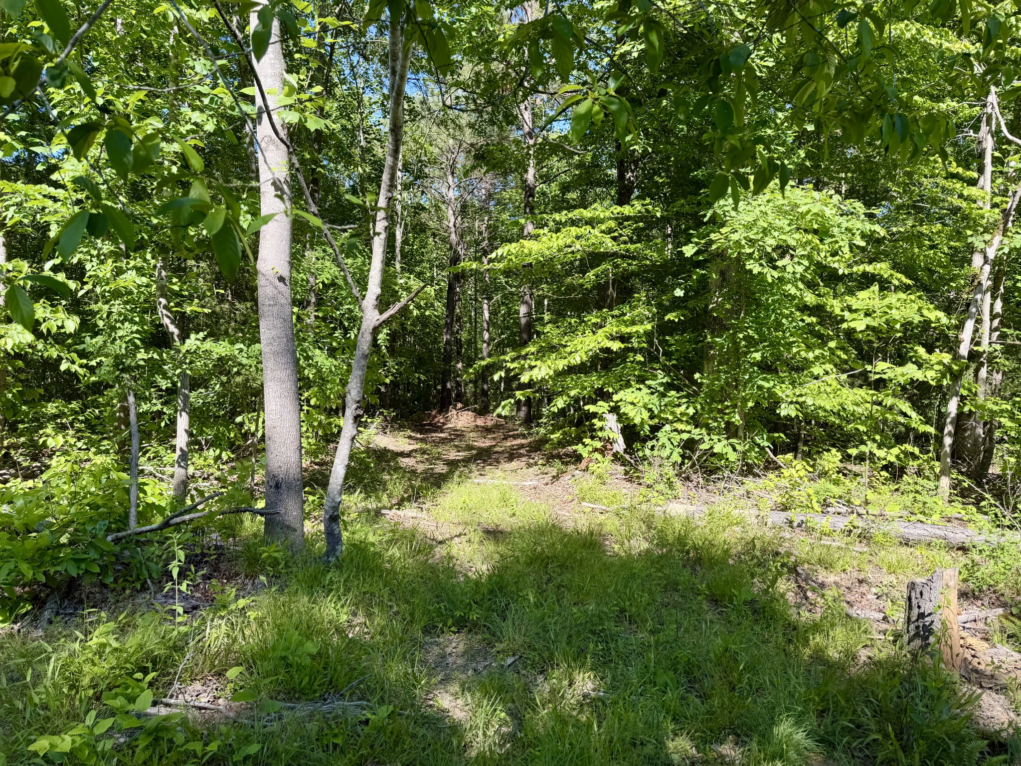 0 Campground Hollow Road