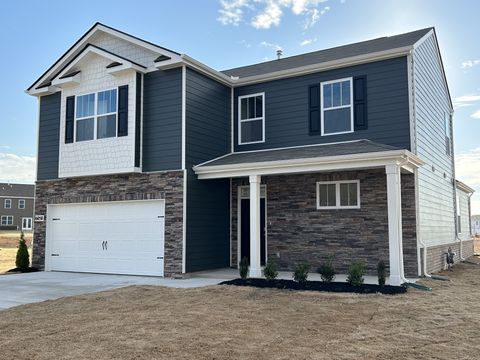 6050 Christeene Ct White House TN 37188