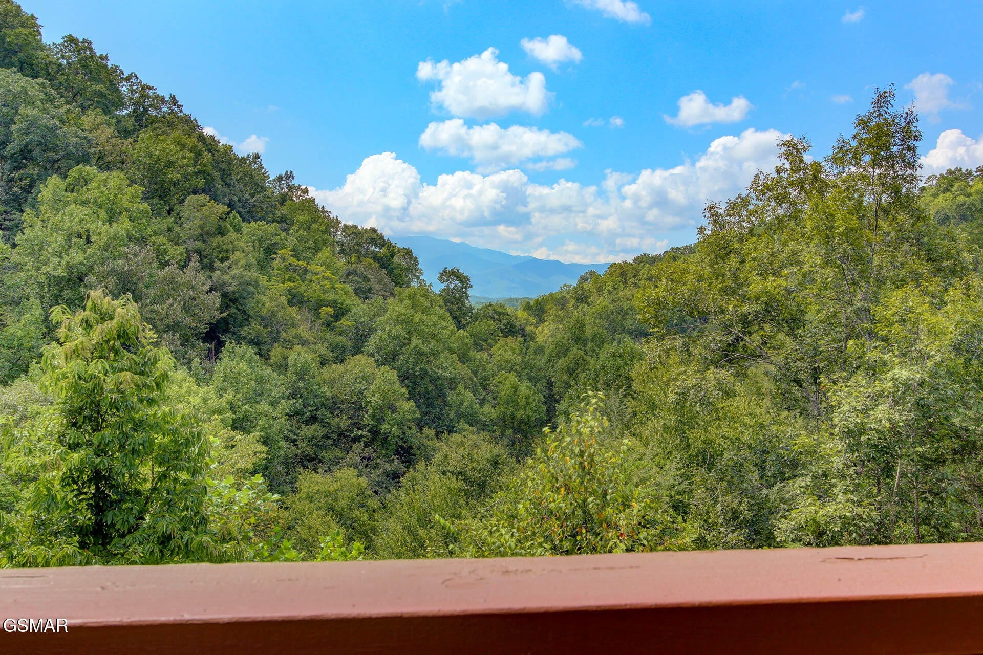 919 Grey Fox Trail