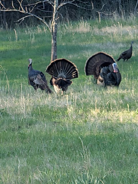 0 Hwy 41 A Shelbyville TN 37160