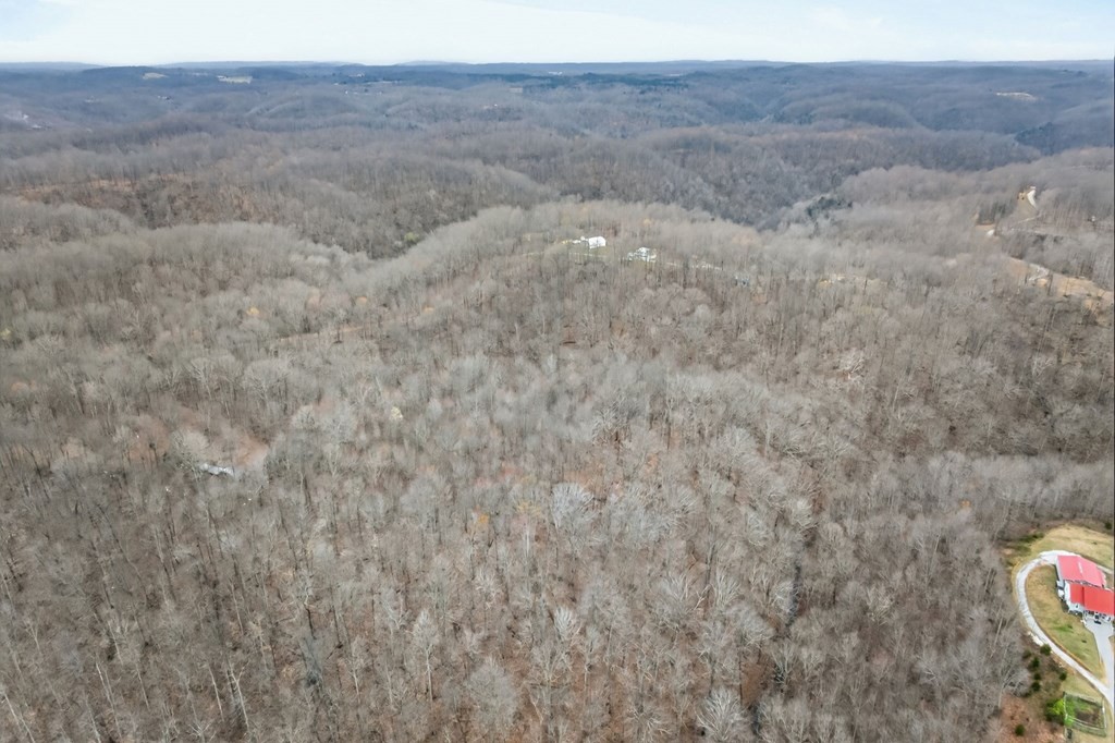 5 Acres Benton Tidwell Rd