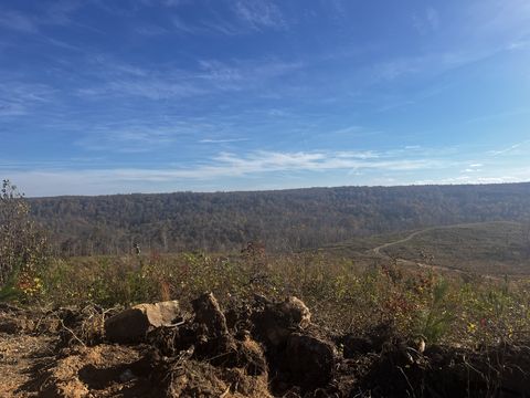 0 Northcutts Cove Road Beersheba Springs TN 37305