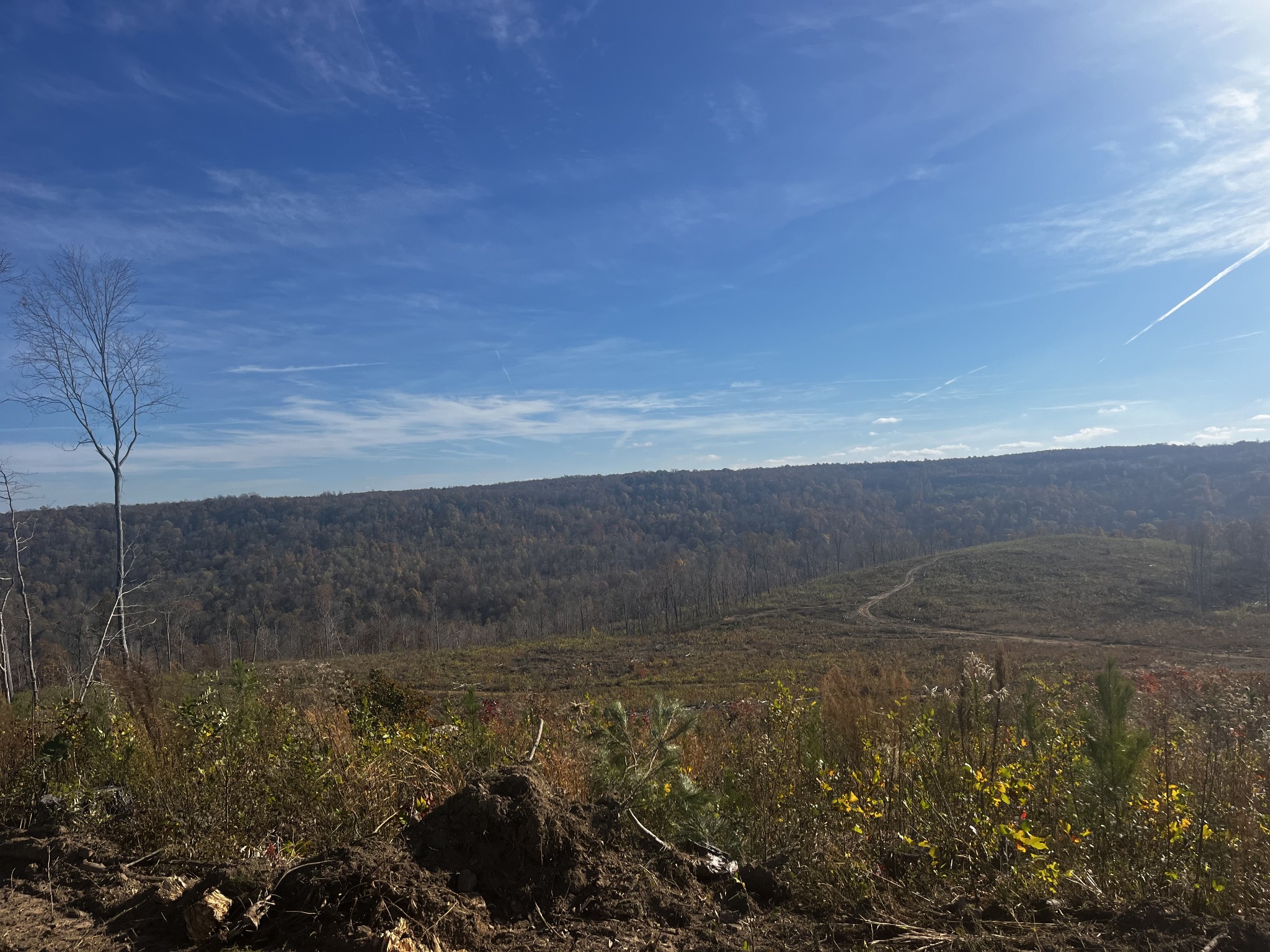 0 Northcutts Cove Road