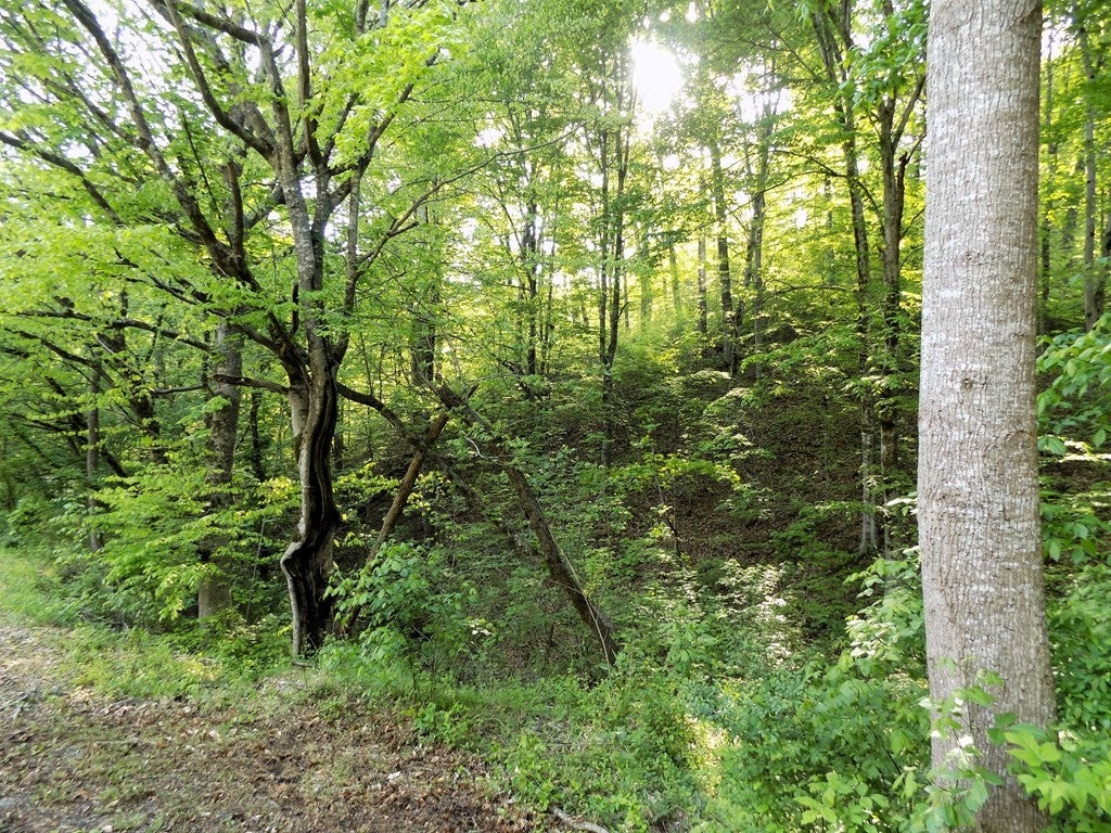 23 Driftwood Road