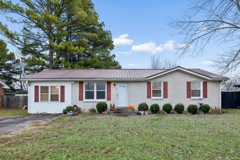 509 Terry Ln Lebanon TN 37087