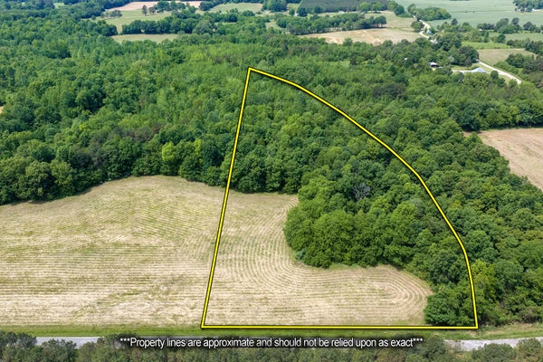 MANN RD, HOLLOW ROCK, TN 38342 - Image 18f01f3567cc485138ff8d99eeb4e80e/1054619176