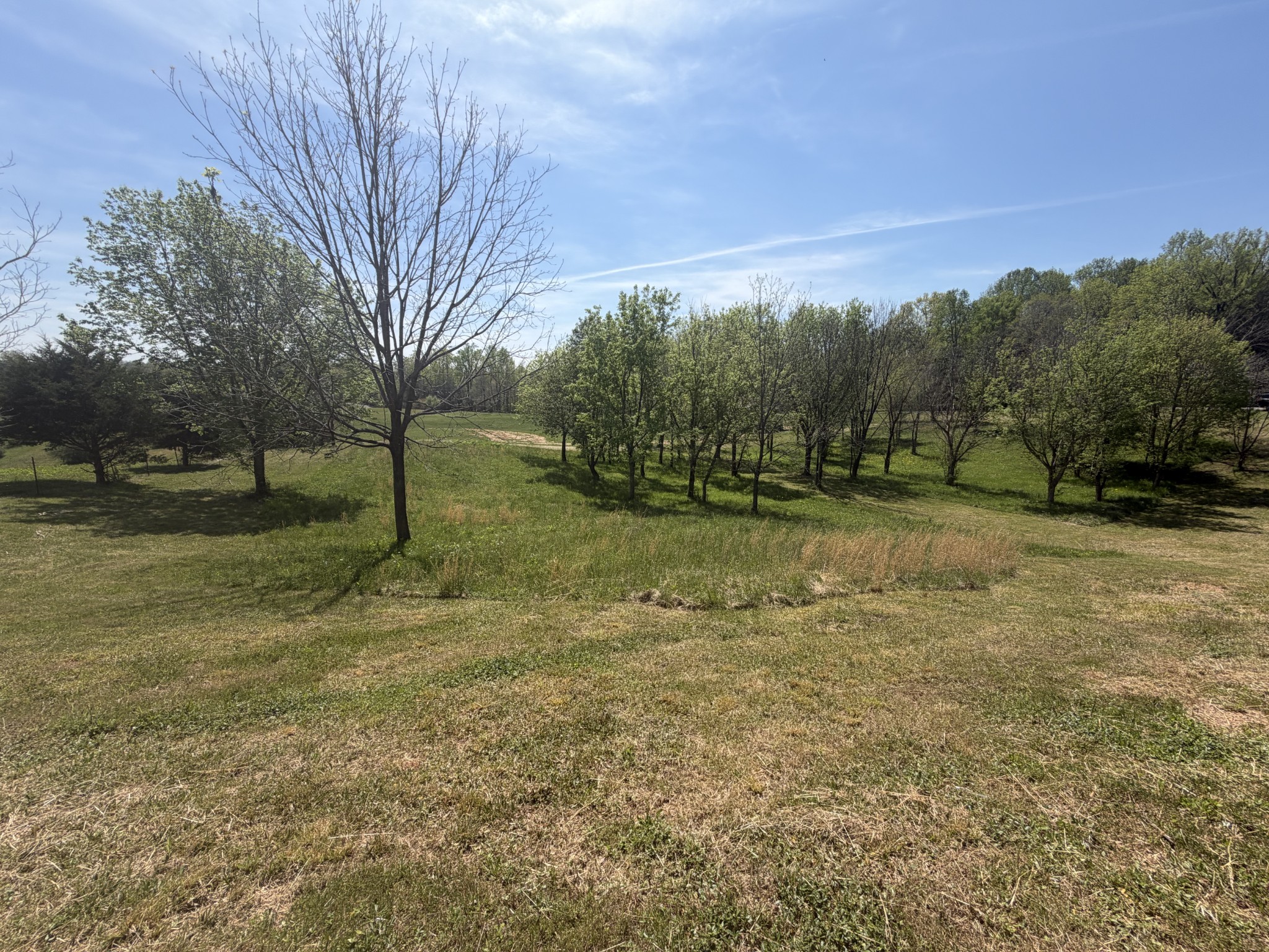 11505 McMinnville Hwy