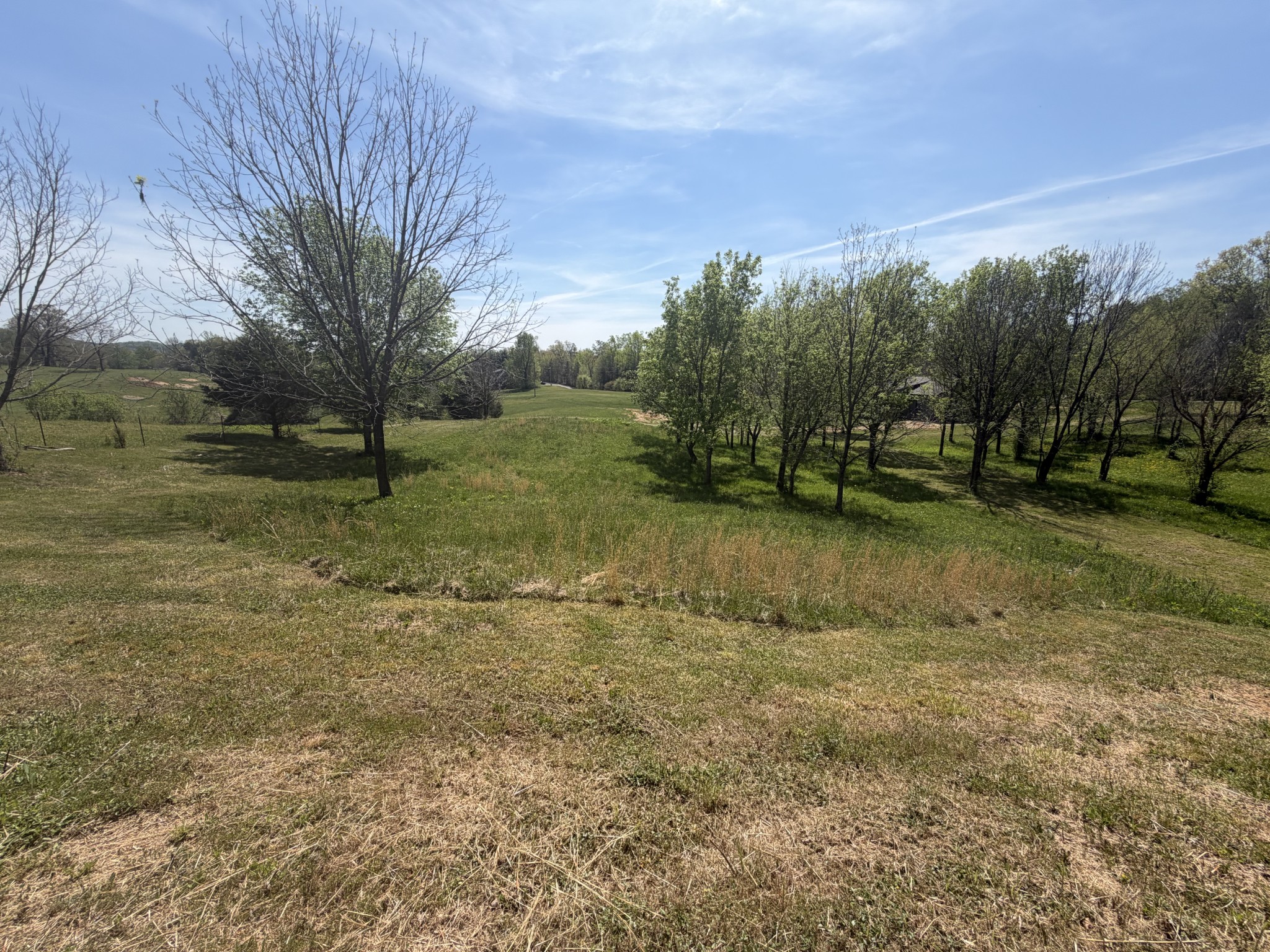 11505 McMinnville Hwy