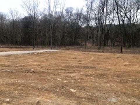 0 Murphy Lane Columbia TN 38401