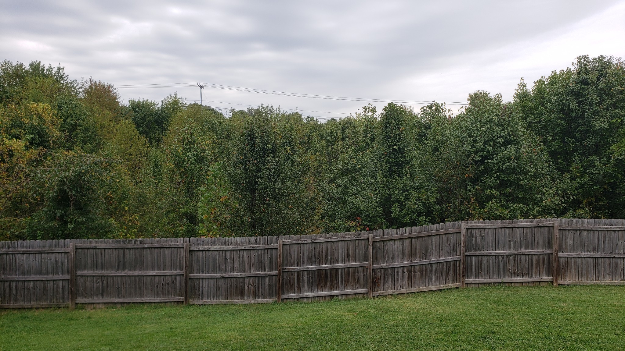 1329 Allmon Dr