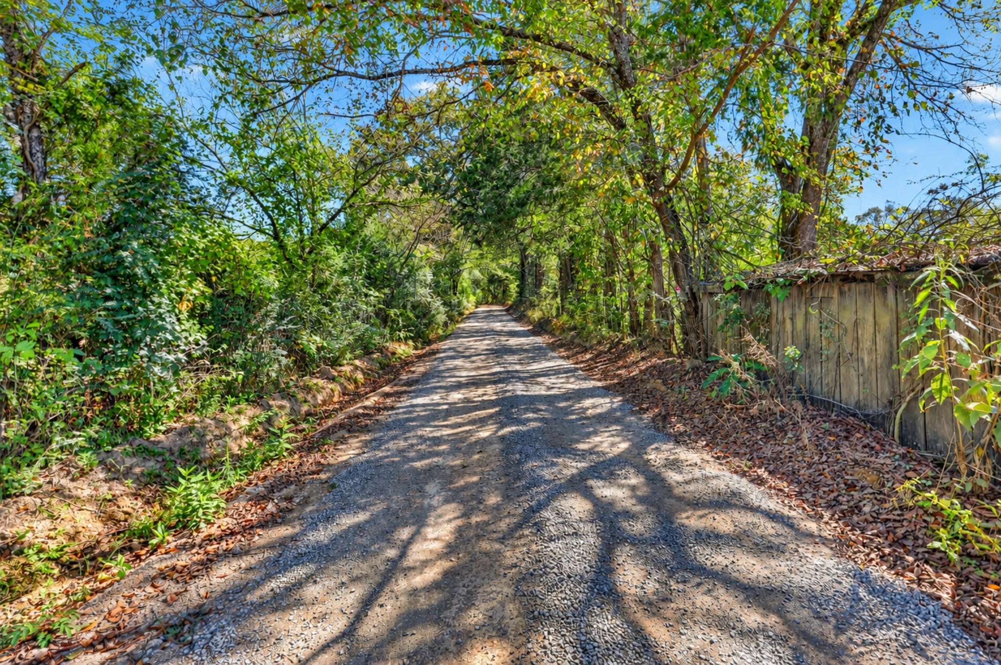 160 Backside Beaverdam Road