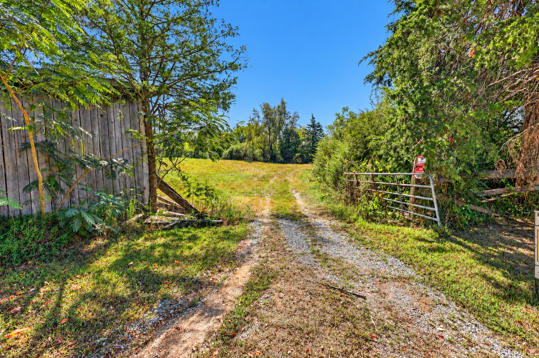 160 Backside Beaverdam Road