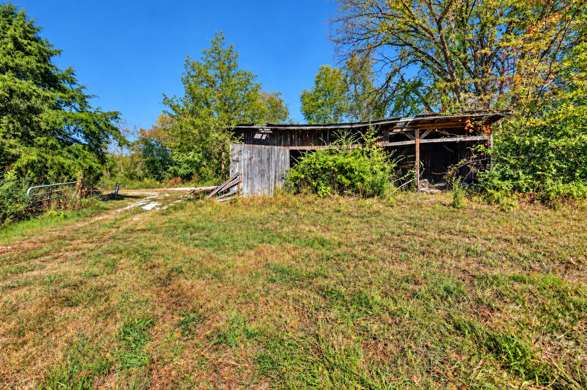 160 Backside Beaverdam Road