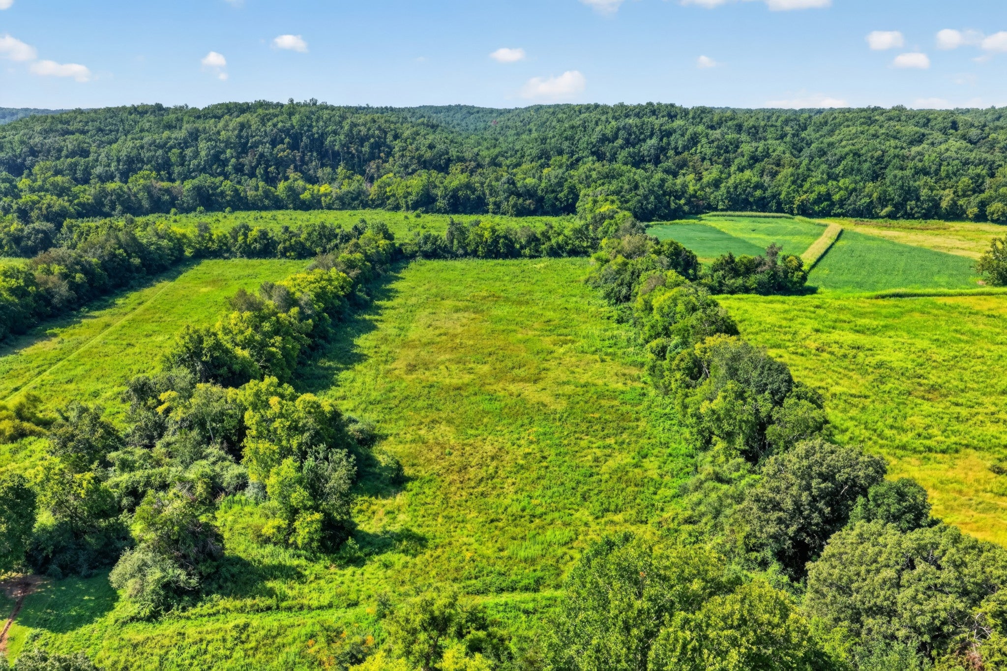 160 Backside Beaverdam Road