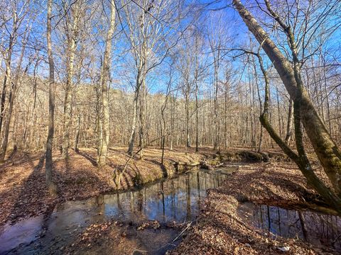 0 Indian Creek Rd Hohenwald TN 38462