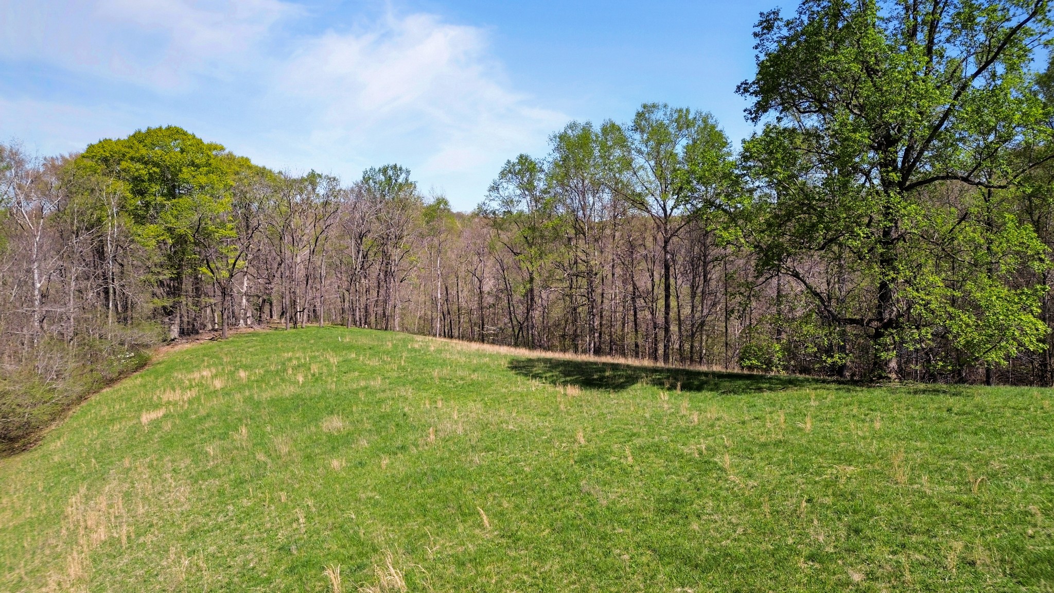 Columbia, Tennessee 38401, United States, 4 Bedrooms Bedrooms, ,4 BathroomsBathrooms,Residential,Active,111244