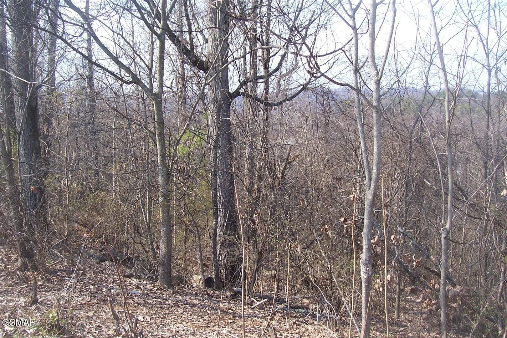 142 Low Valley Road