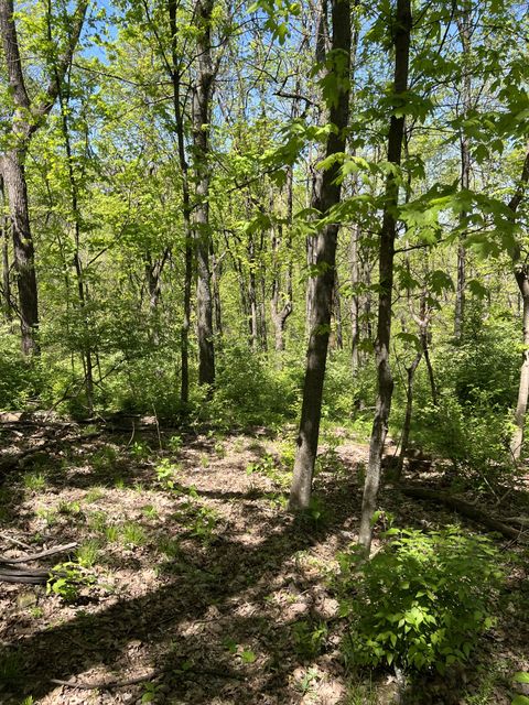 1305 Robert E Lee Ln Brentwood TN 37027