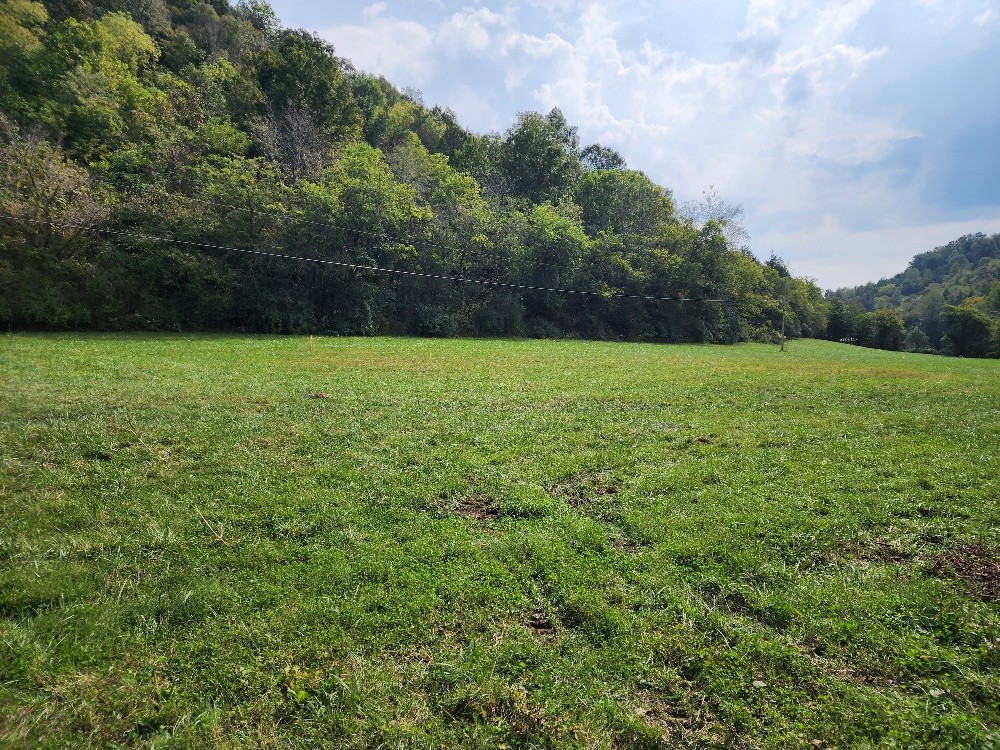 0 Webster Branch Ln