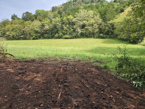 0 Webster Branch Ln Whitleyville TN 38588