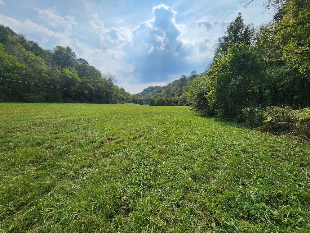 0 Webster Branch Ln