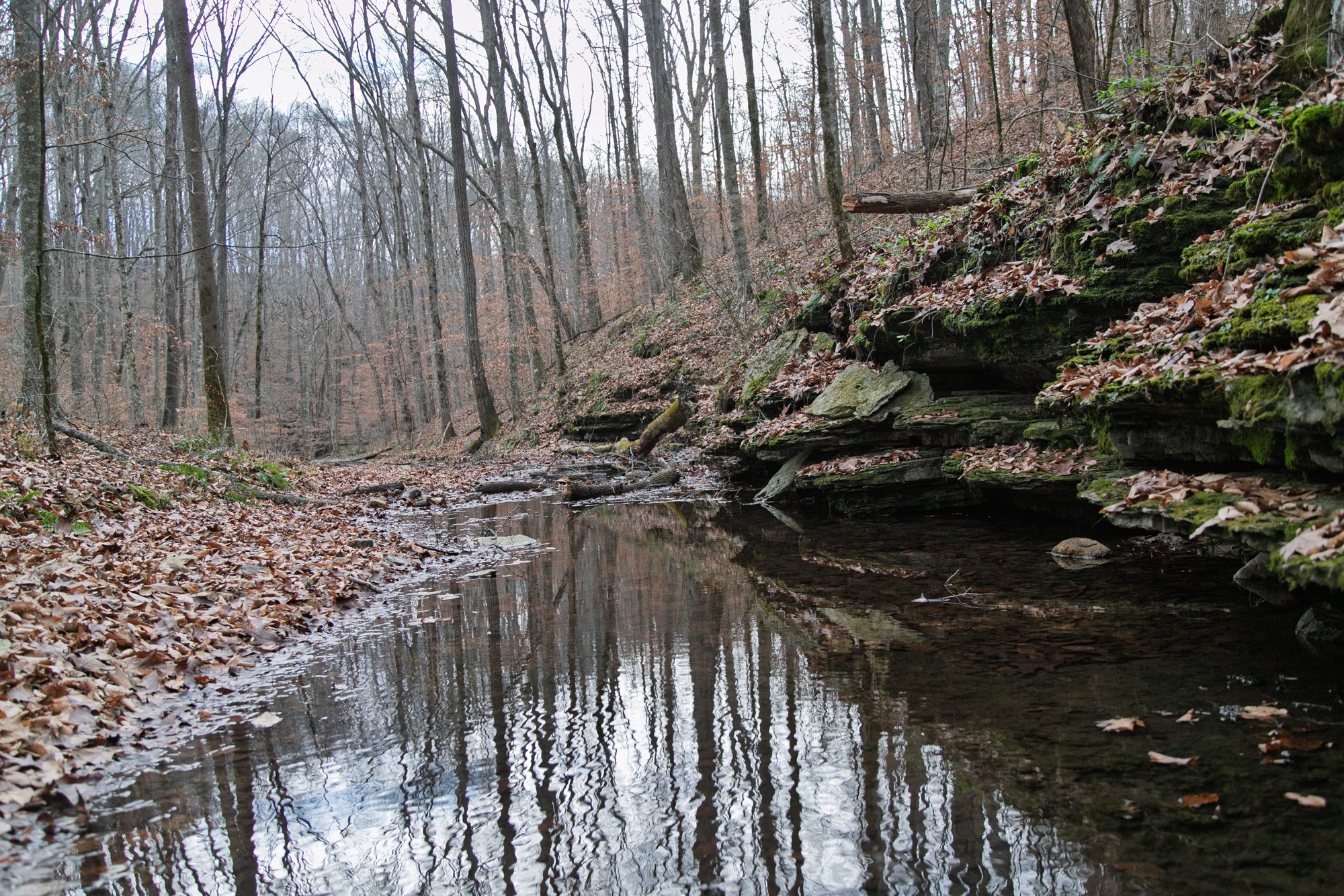 10001 Davis Branch Rd