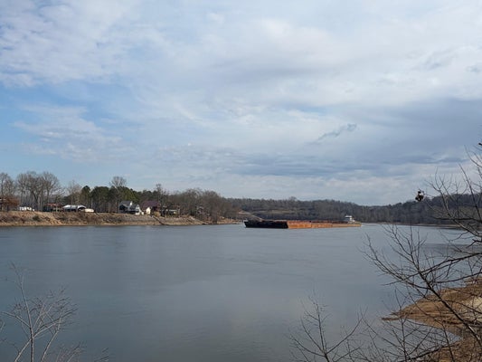 95 CRAVENS DR, SAVANNAH, TN 38372 - Image 19fff60773dbf27fc0c83da90c07f4b1/841206024