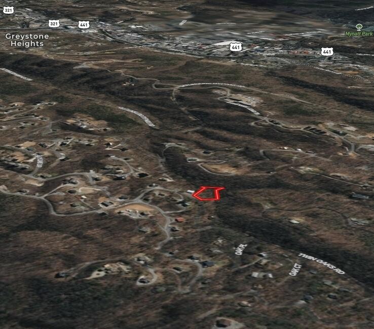 0 Twin Oaks Rd Gatlinburg,