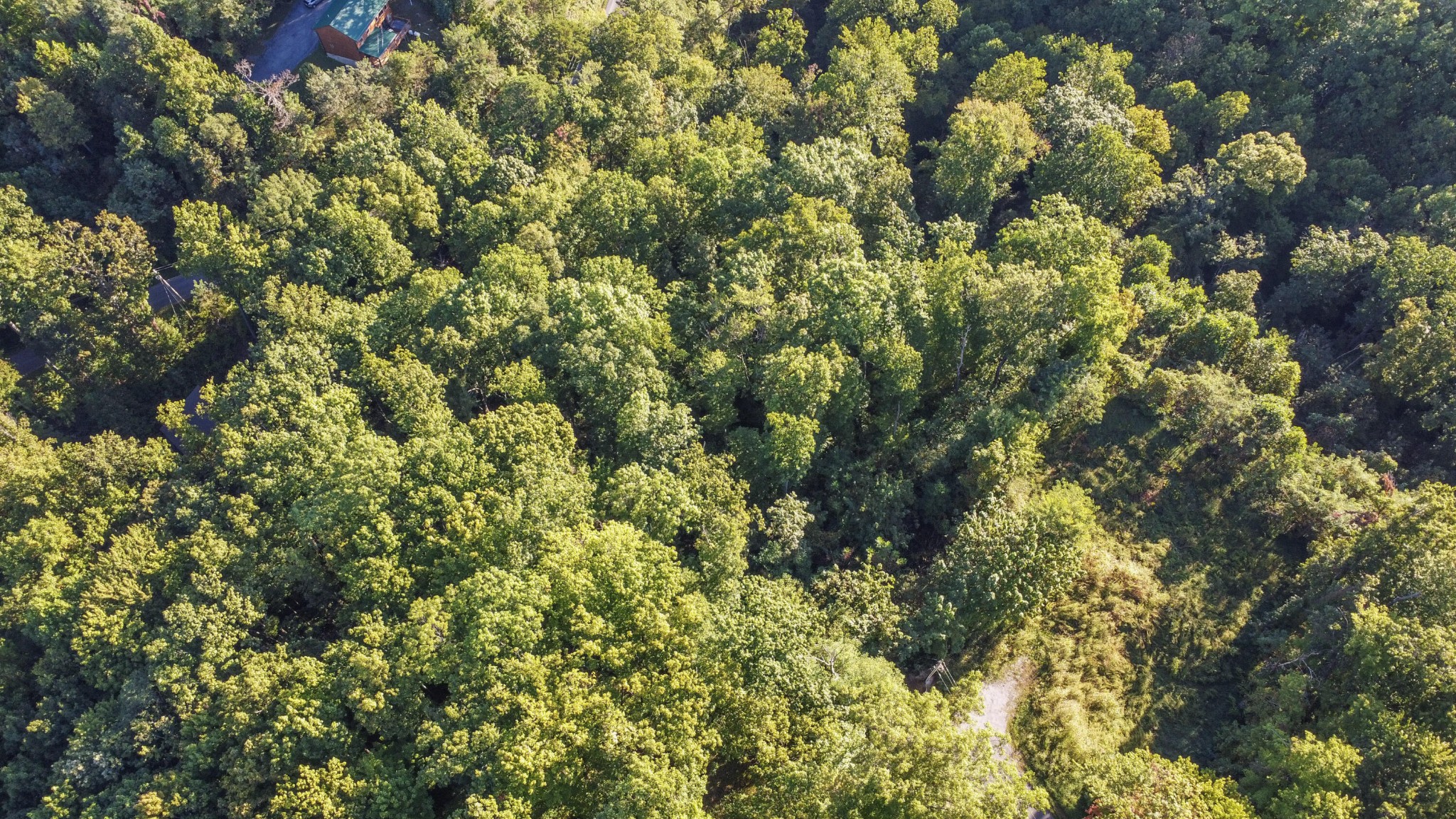 40 Twin Oaks Rd Gatlinburg,