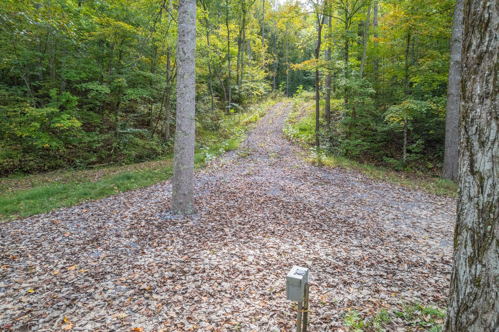 220 Selah Pvt Path