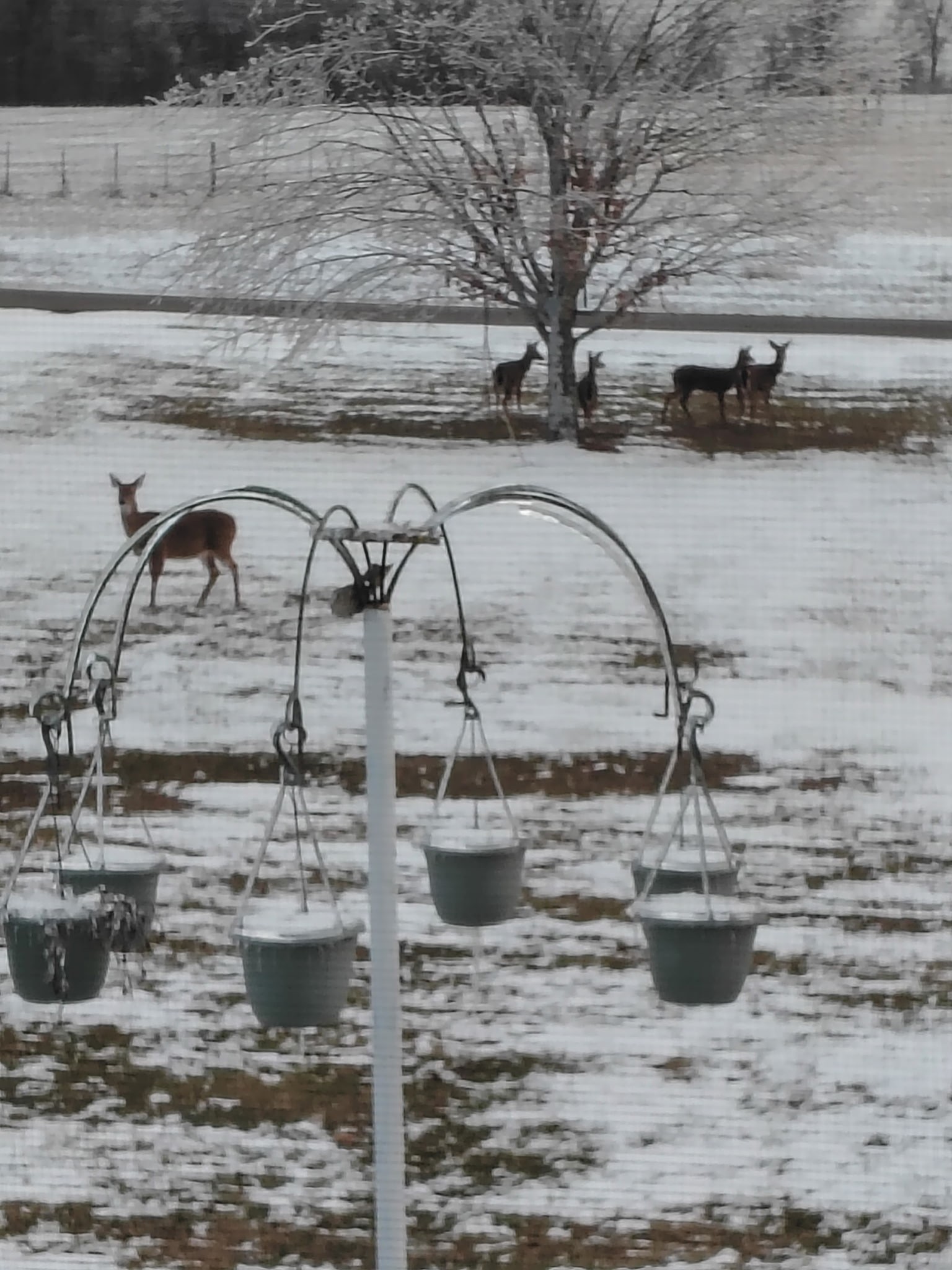 417 Buttermilk Hollow Rd