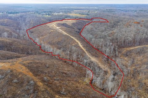 0 Little Swan Creek Rd Hohenwald TN 38462