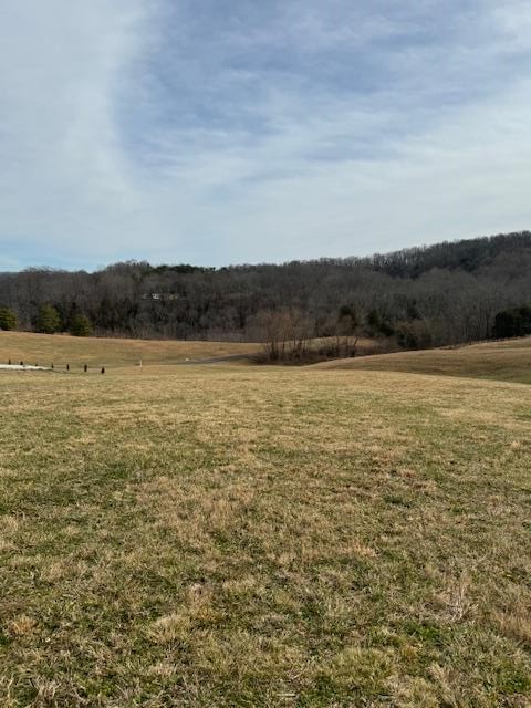 0 Holly Bend Dr
