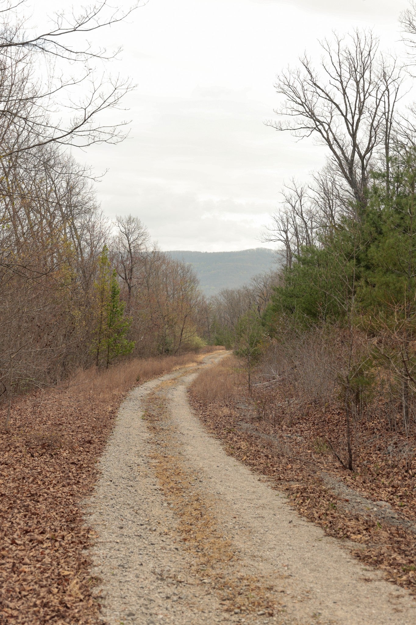 0 Green Ridge Trail