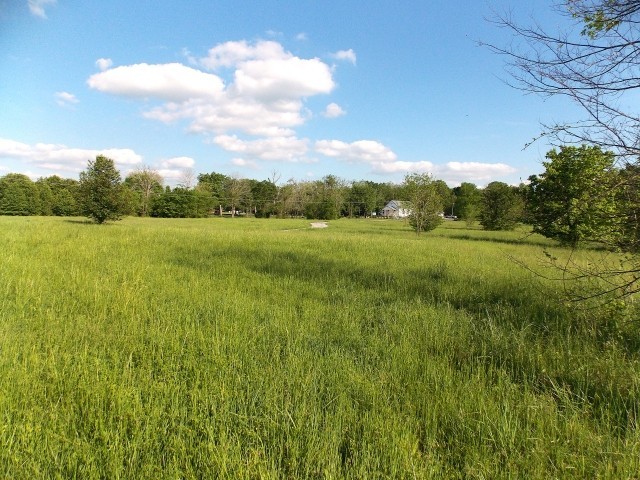 0 Midland Fosterville Rd