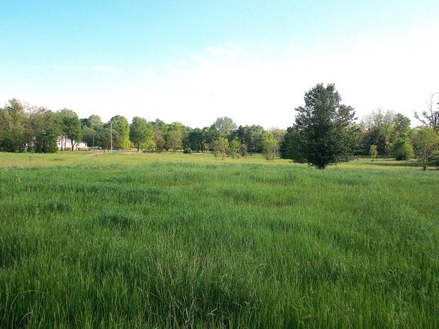 0 Midland Fosterville Rd