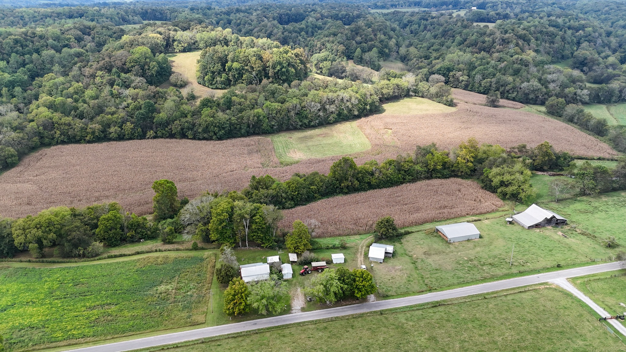 1905 Hams Creek Rd
