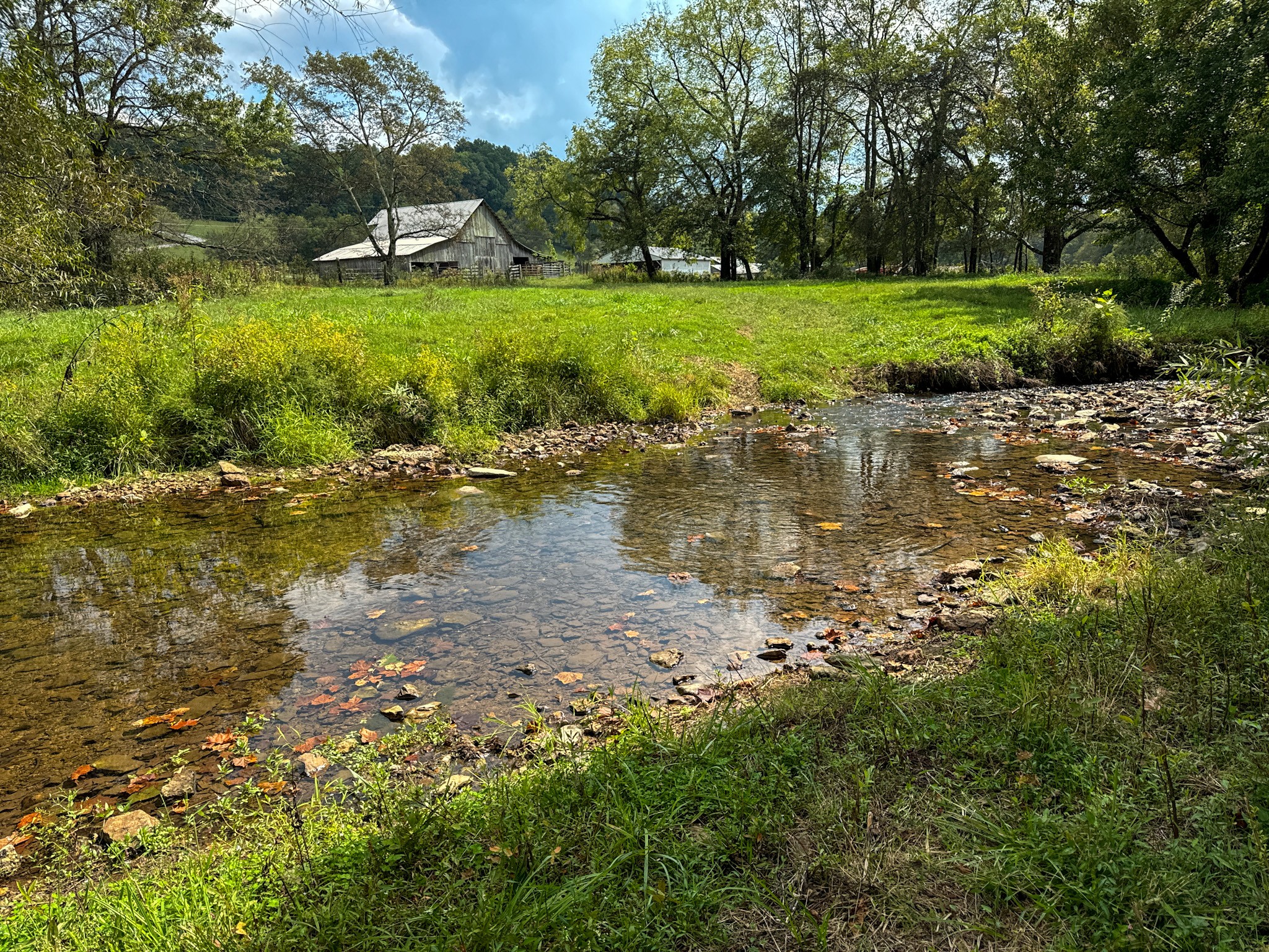 1905 Hams Creek Rd