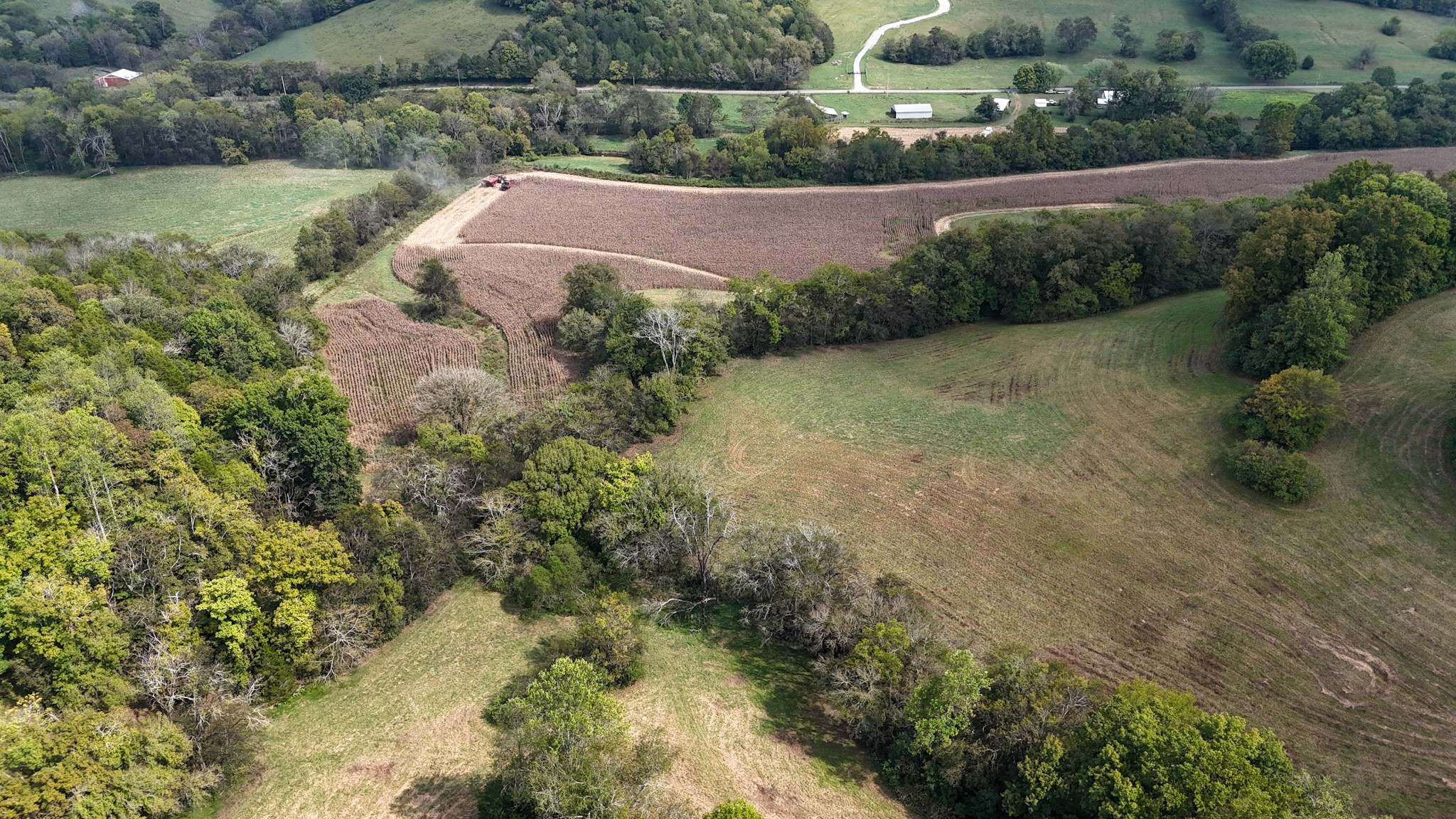 1905 Hams Creek Rd
