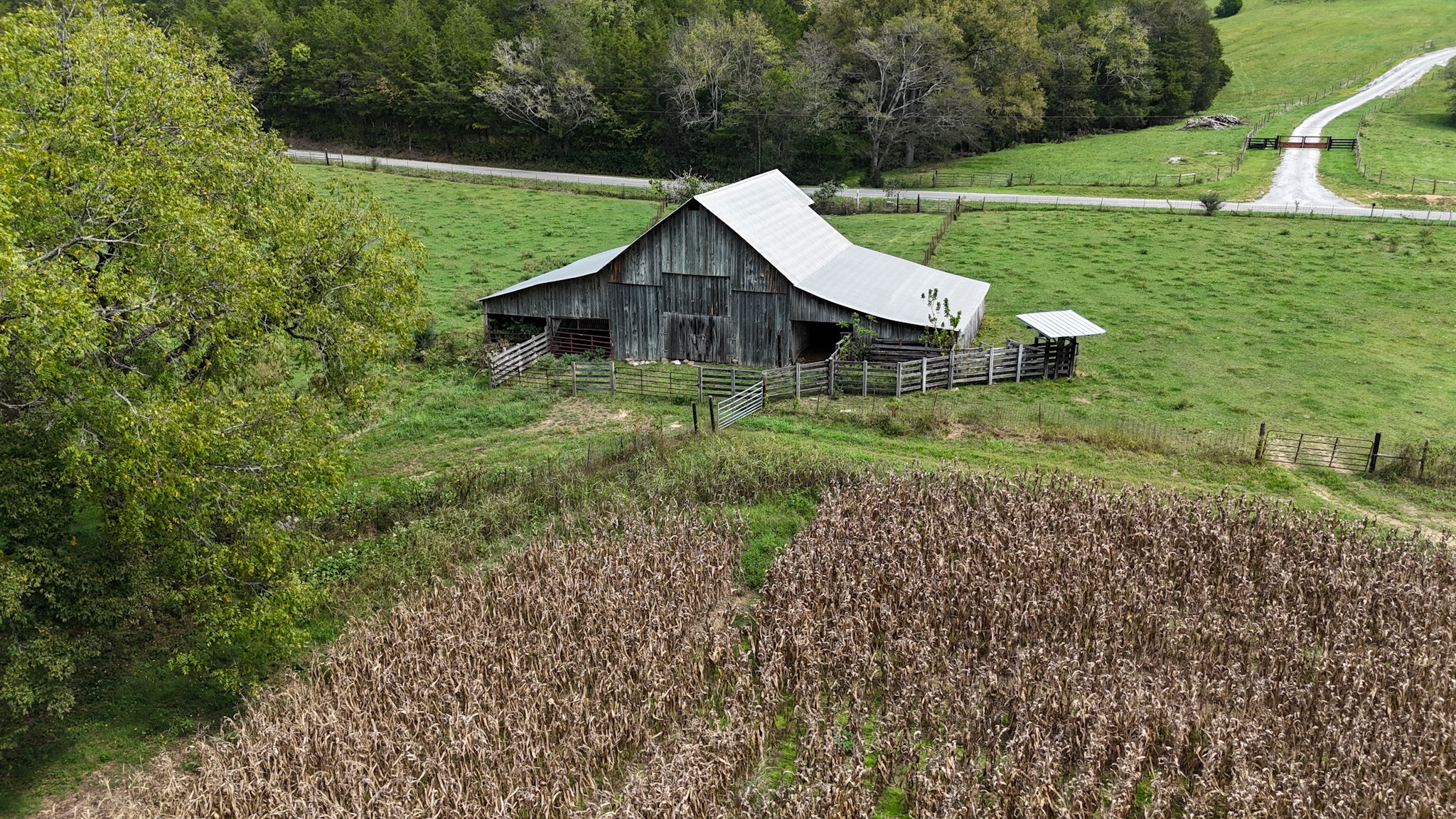 1905 Hams Creek Rd
