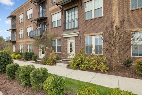 1101 vida way 105 Nolensville TN 37135