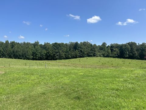 3421 George Olive Rd Iron City TN 38463